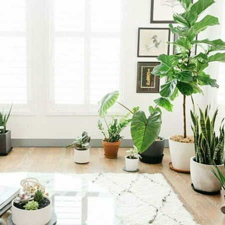 10pcs Plant Saucer Drip Tray Round Pot Base Container PET Home Office Garden 10pcs Plant Saucer Drip Tray Round Pot Base Container PET Home Office Garden